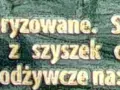 Ile kalorii ma piwo Żubr? Zaskakujące fakty o jego wartości energetycznej