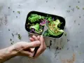 Zdrowa sałatka z awokado, brokułów i jarmużu w lunchboxie. Idealna na cały tydzień, gdy stosujesz dietę wątrobową. Przepisy na zdrowie!
