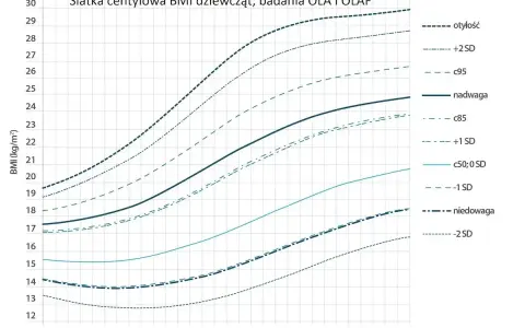 Wykres centylowy BMI dla dziewcząt, pokazujący zależność jaka waga do wzrostu w zależności od wieku. Linie oznaczają normy i odchylenia.