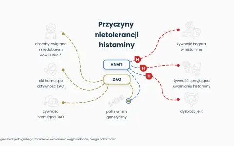 Schemat przyczyn nietolerancji histaminy, kluczowych dla diety antyhistaminowej. Wskazuje na żywność, leki i czynniki genetyczne.