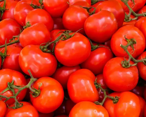 Mnóstwo soczystych, czerwonych pomidorów, idealnych na keto dietę. Doskonałe do sałatek i sosów.