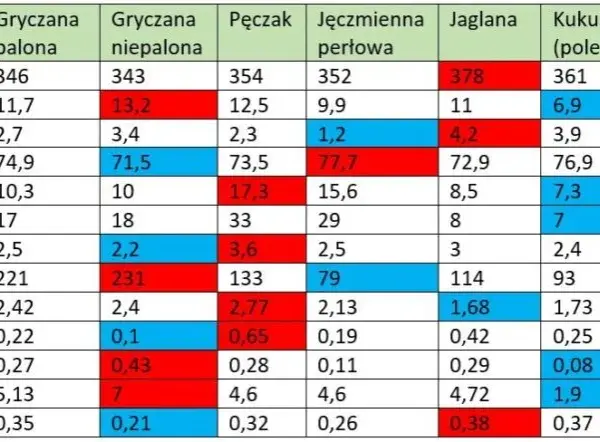 Ile kalorii ma kasza jęczmienna? Zaskakujące wartości odżywcze!