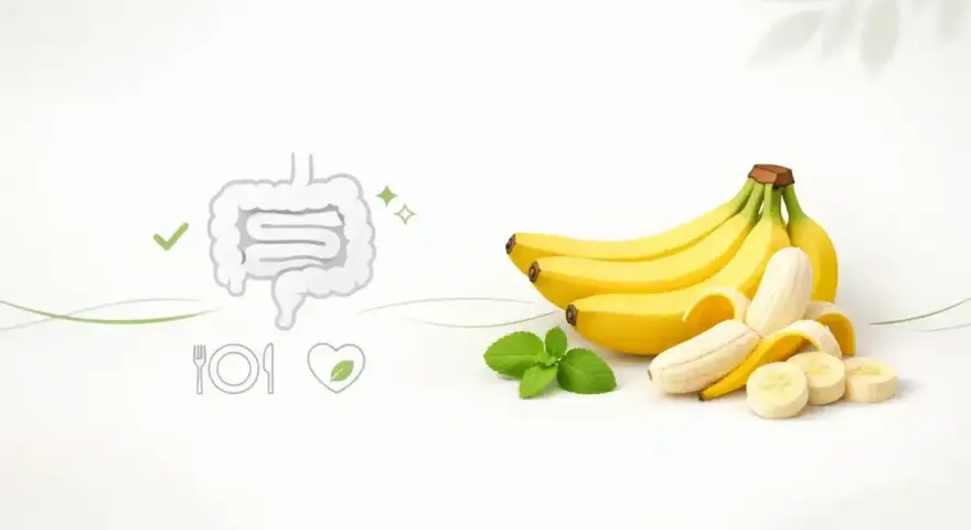 Banan jest lekkostrawny, co potwierdza grafika jelit i symbol serca. Kilka bananów i listki mięty.