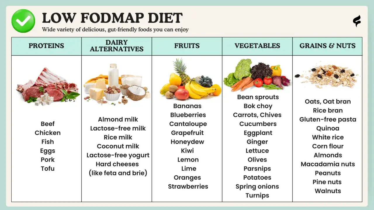 Lista produktów dozwolonych w diecie low fodmap: mięso, nabiał bez laktozy, owoce, warzywa, zboża i orzechy.